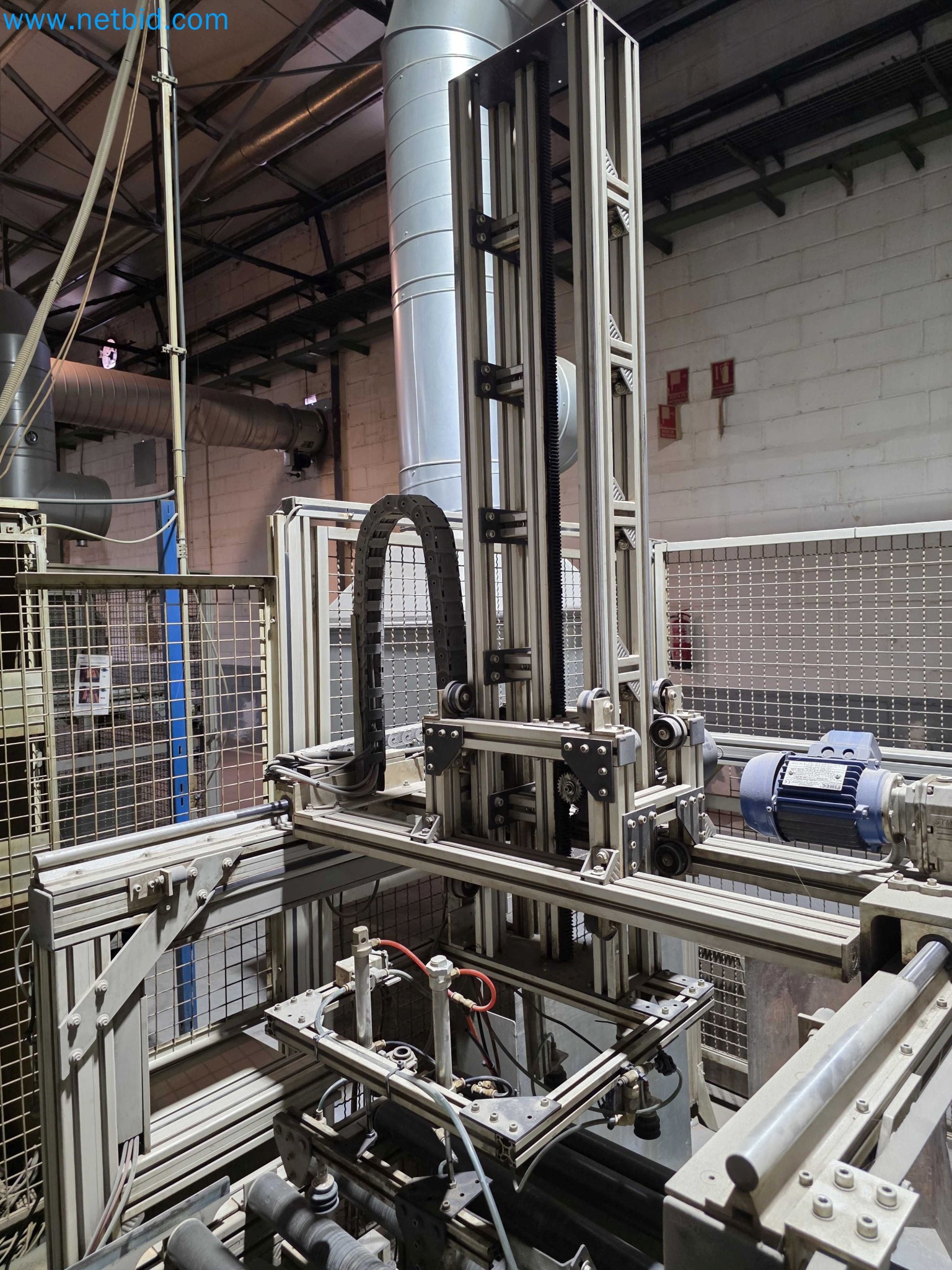 Liquidação de empresas - Máquinas de embalagem usadas para embalagem de frutas e legumes (linha de produção de MDF)-13