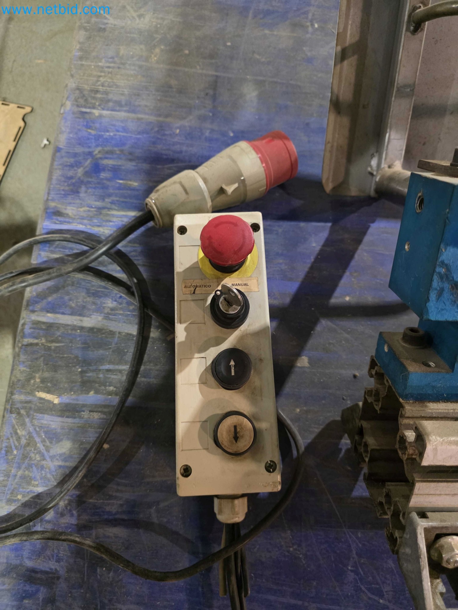 Liquidação de empresas - Máquinas de embalagem usadas para embalagem de frutas e legumes (linha de produção de MDF)-6