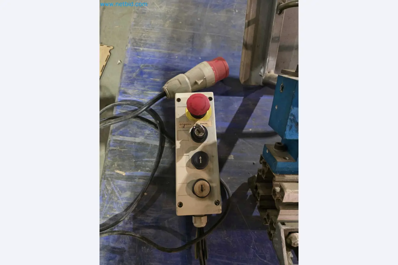 Liquidação de empresas - Máquinas de embalagem usadas para embalagem de frutas e legumes (linha de produção de MDF)-6