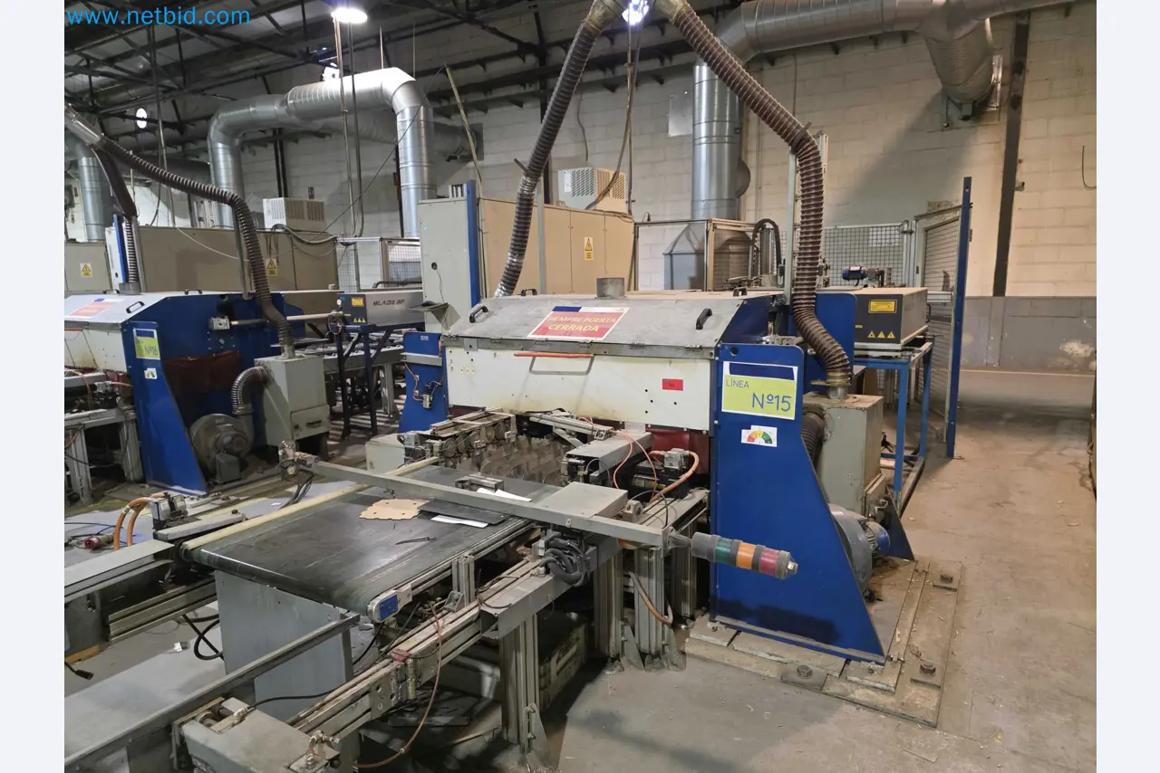 Likwidacja działalności gospodarczej - Używane maszyny pakujące do pakowania owoców i warzyw (linia produkcyjna MDF)-3