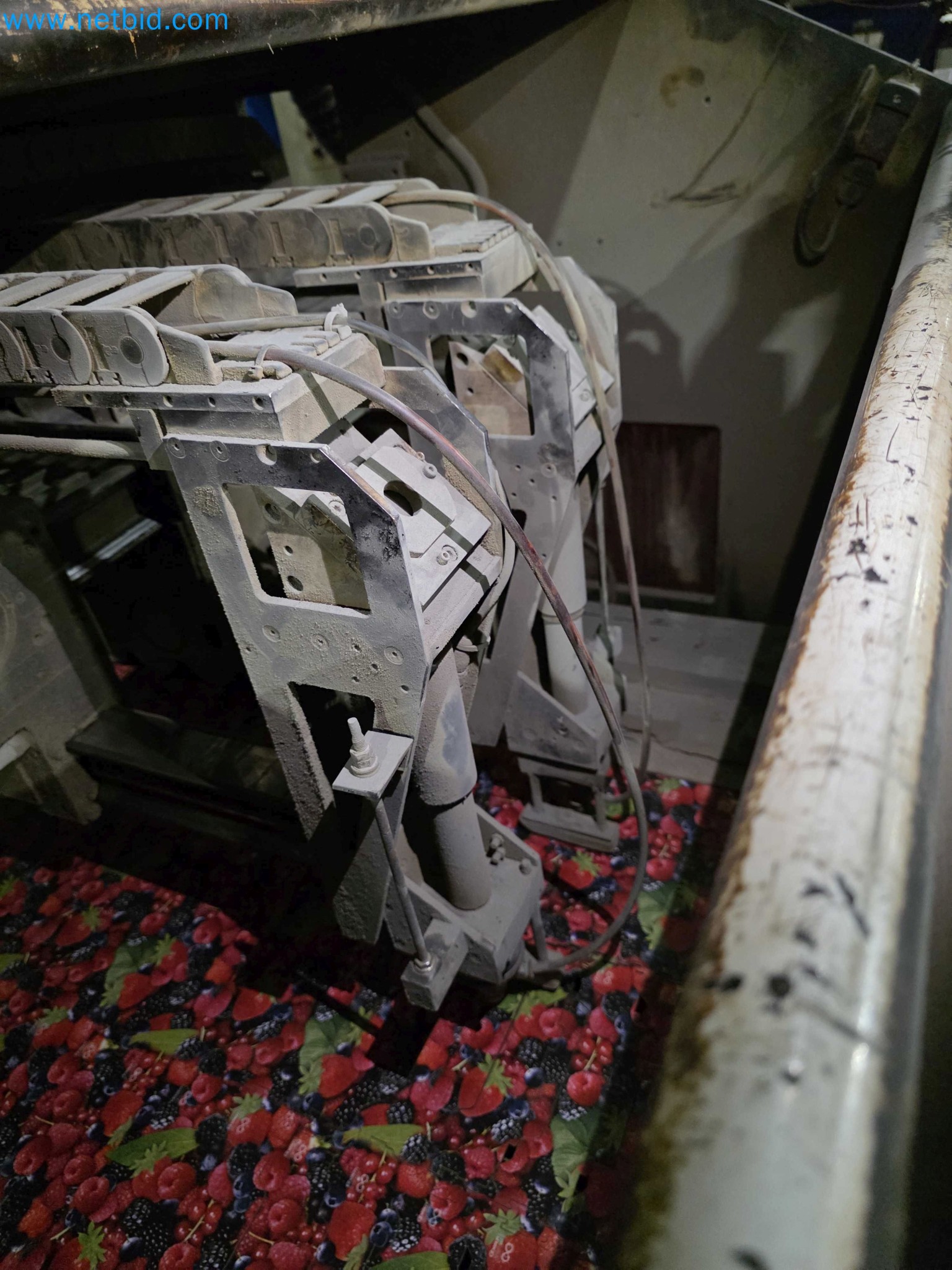 Liquidação de empresas - Máquinas de embalagem usadas para embalagem de frutas e legumes (linha de produção de MDF)-8