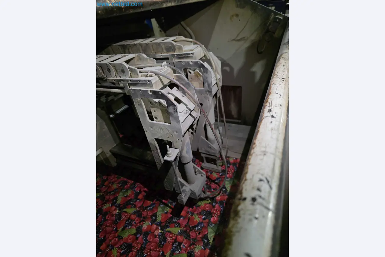 Liquidação de empresas - Máquinas de embalagem usadas para embalagem de frutas e legumes (linha de produção de MDF)-8