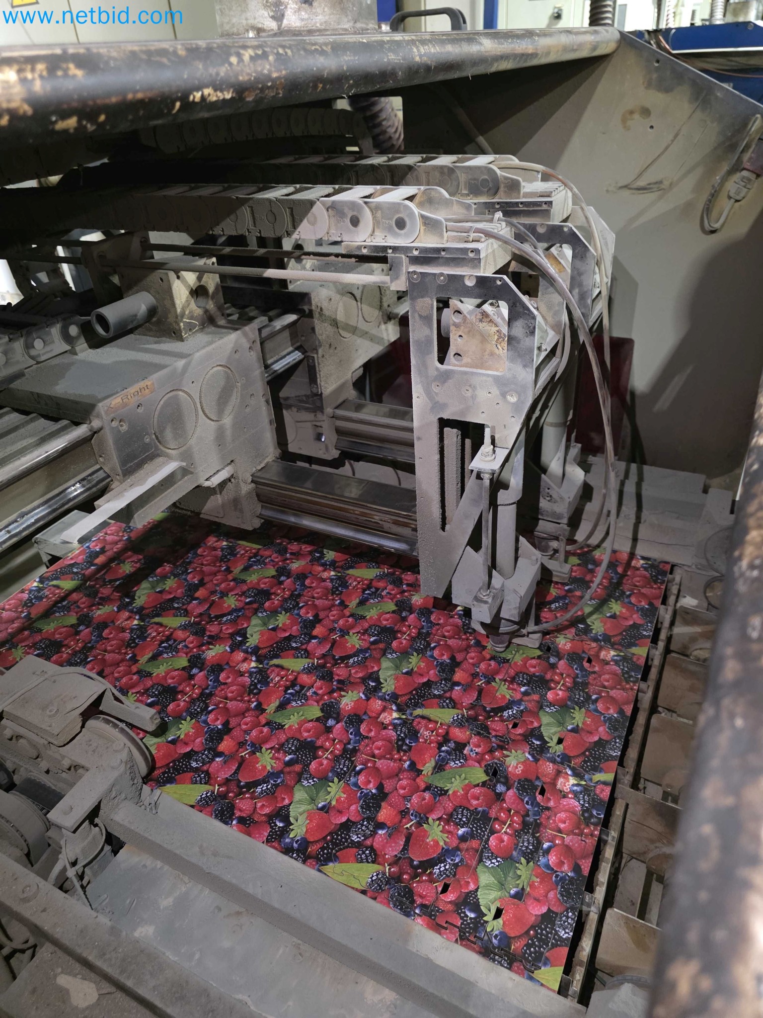 Liquidação de empresas - Máquinas de embalagem usadas para embalagem de frutas e legumes (linha de produção de MDF)-9