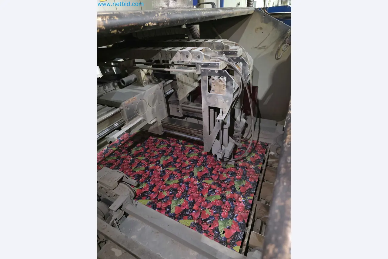 Liquidação de empresas - Máquinas de embalagem usadas para embalagem de frutas e legumes (linha de produção de MDF)-9