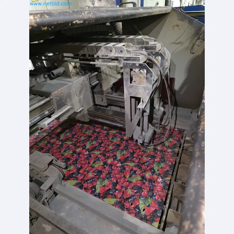 Liquidação de empresas - Máquinas de embalagem usadas para embalagem de frutas e legumes (linha de produção de MDF)-9