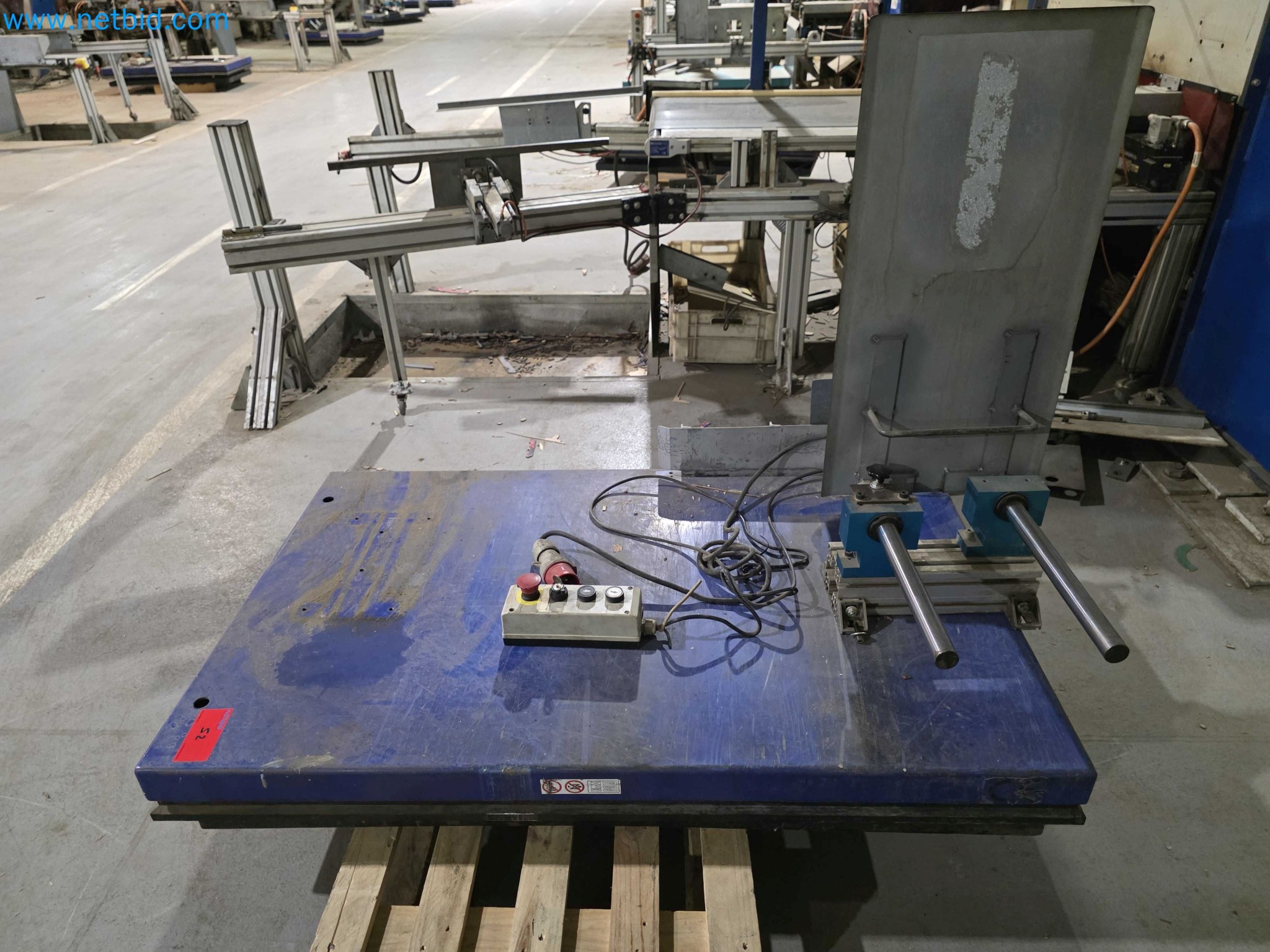 Liquidação de empresas - Máquinas de embalagem usadas para embalagem de frutas e legumes (linha de produção de MDF)-4