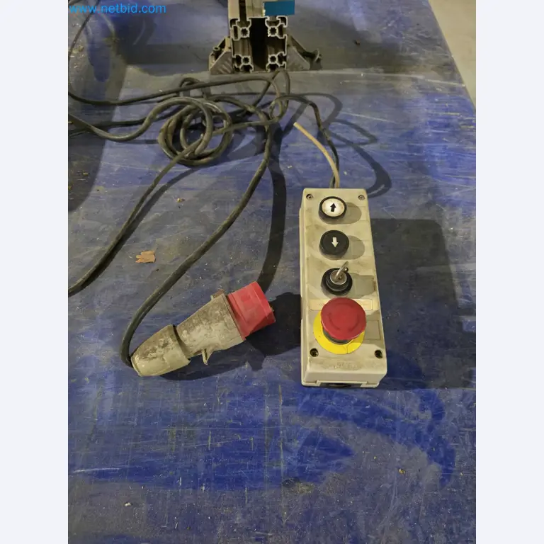 Liquidação de empresas - Máquinas de embalagem usadas para embalagem de frutas e legumes (linha de produção de MDF)-7