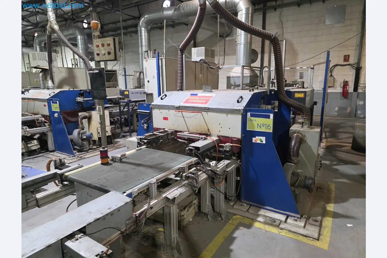 Liquidação de empresas - Máquinas de embalagem usadas para embalagem de frutas e legumes (linha de produção de MDF)-2