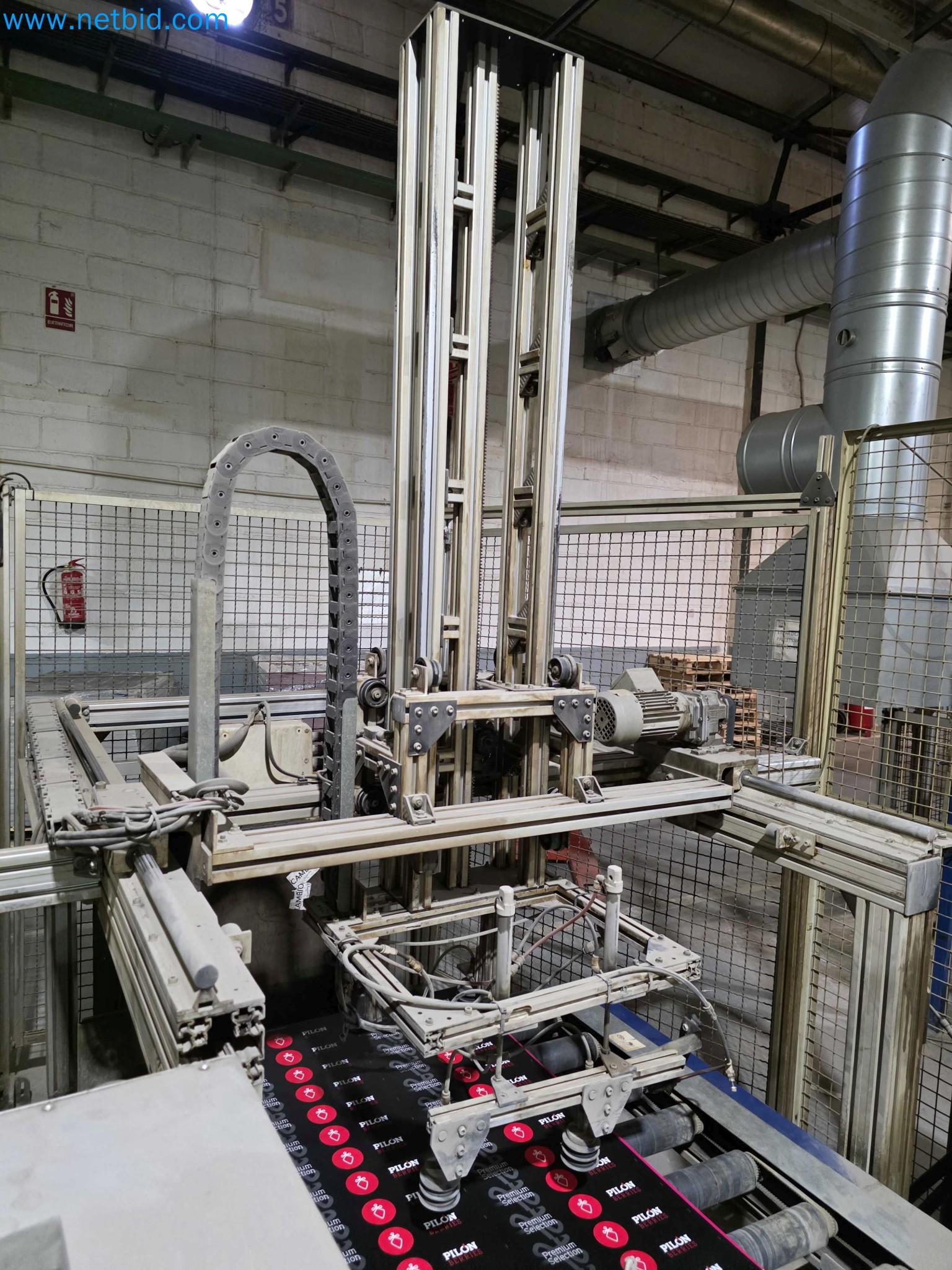 Liquidação de empresas - Máquinas de embalagem usadas para embalagem de frutas e legumes (linha de produção de MDF)-19