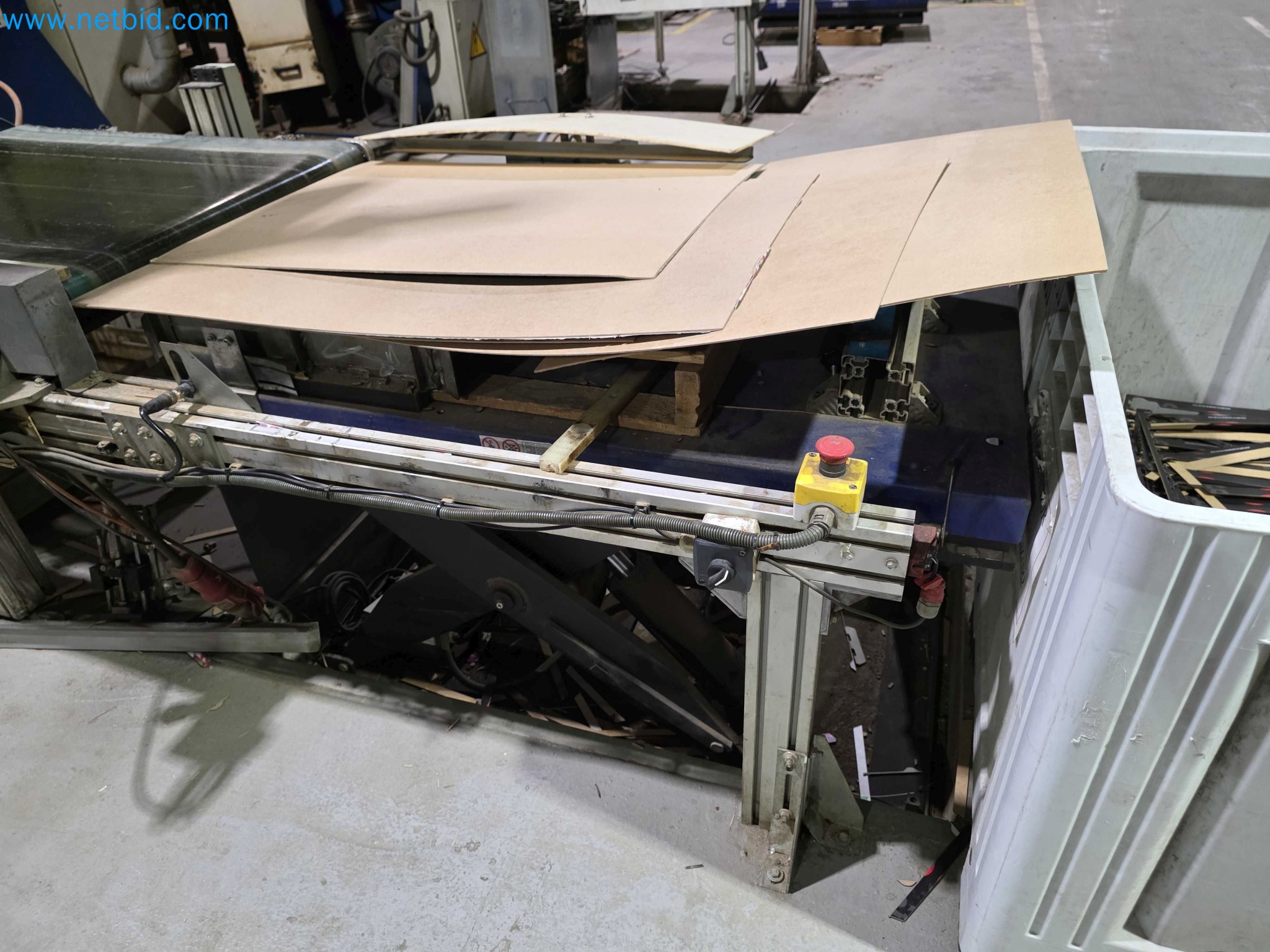 Liquidação de empresas - Máquinas de embalagem usadas para embalagem de frutas e legumes (linha de produção de MDF)-3