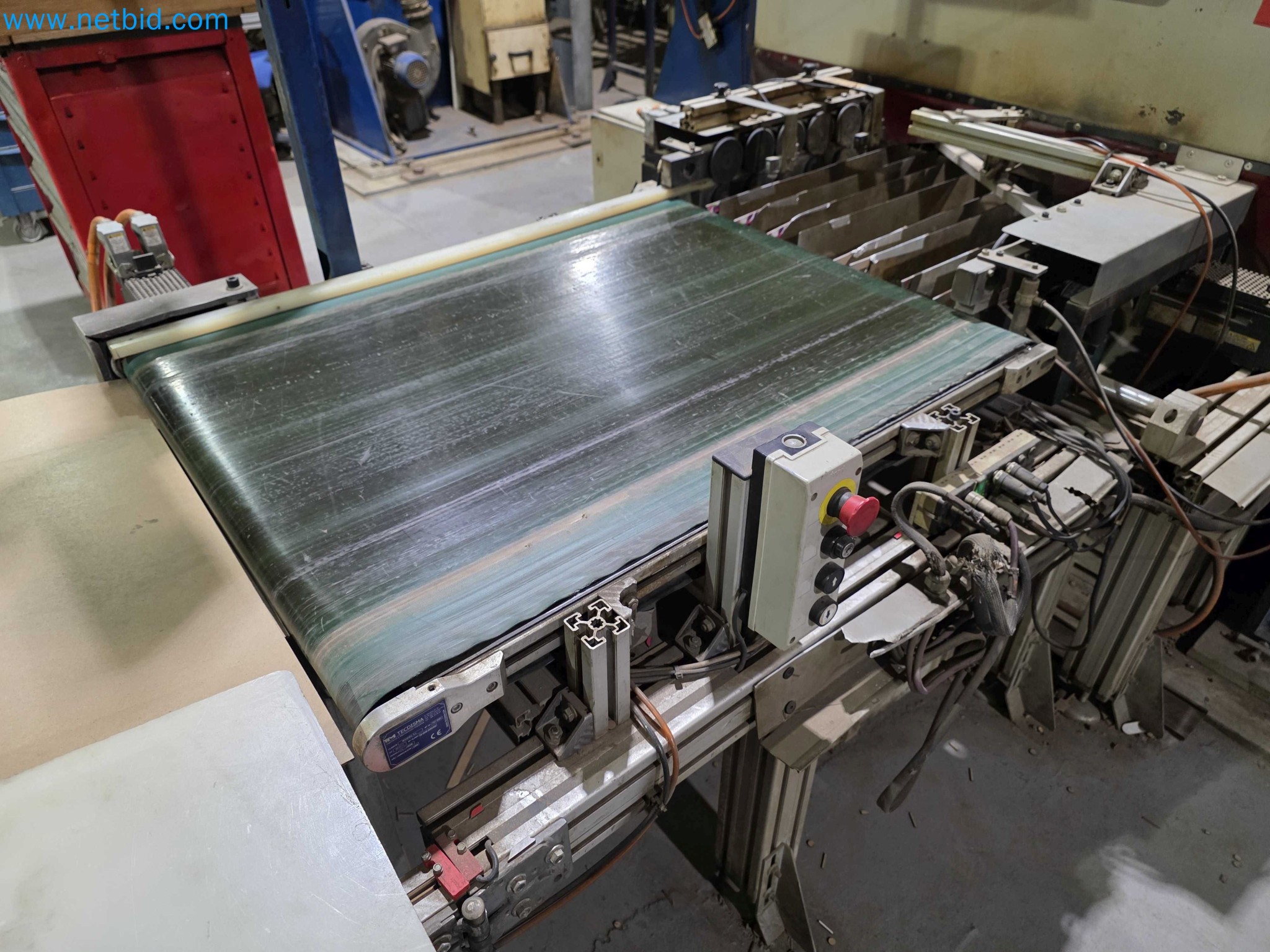 Liquidação de empresas - Máquinas de embalagem usadas para embalagem de frutas e legumes (linha de produção de MDF)-5