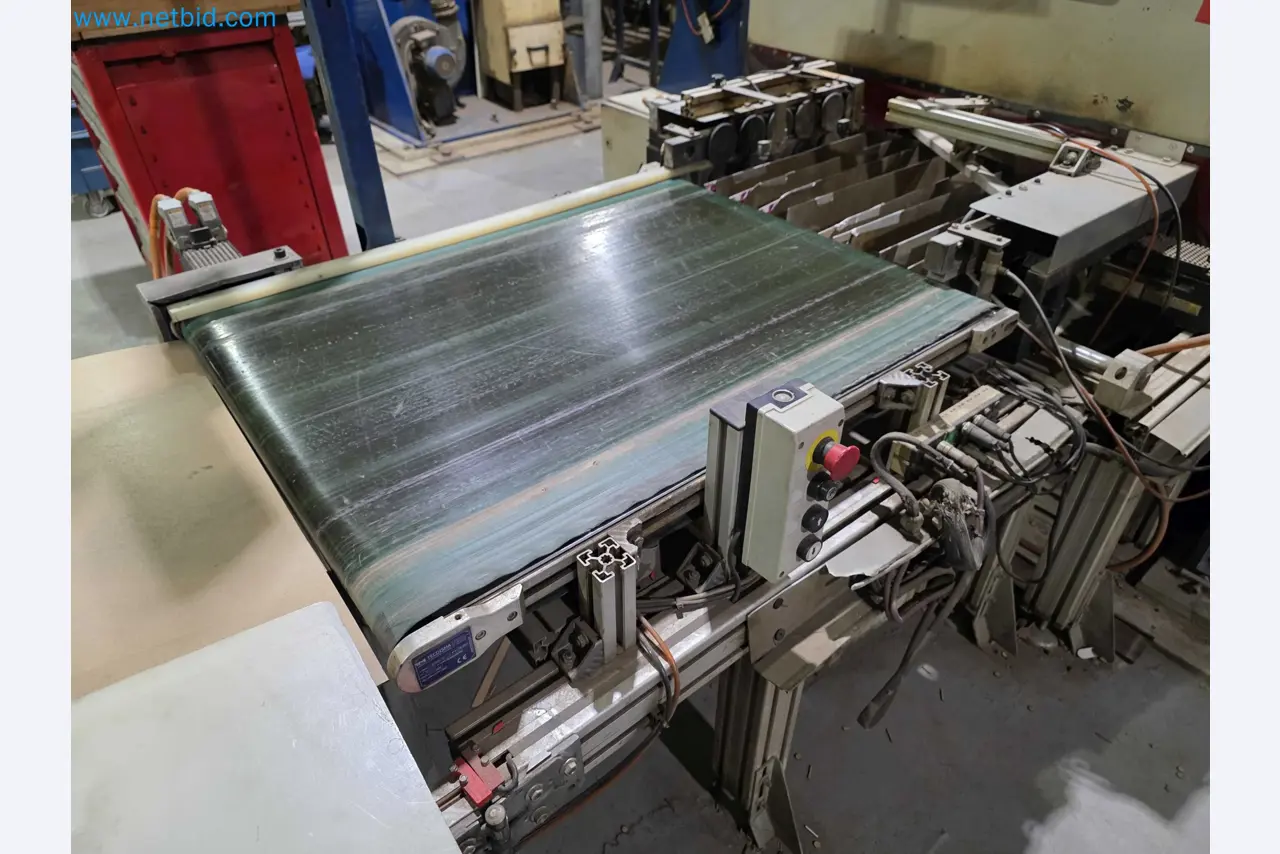 Liquidação de empresas - Máquinas de embalagem usadas para embalagem de frutas e legumes (linha de produção de MDF)-5