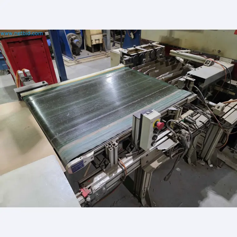 Liquidação de empresas - Máquinas de embalagem usadas para embalagem de frutas e legumes (linha de produção de MDF)-5