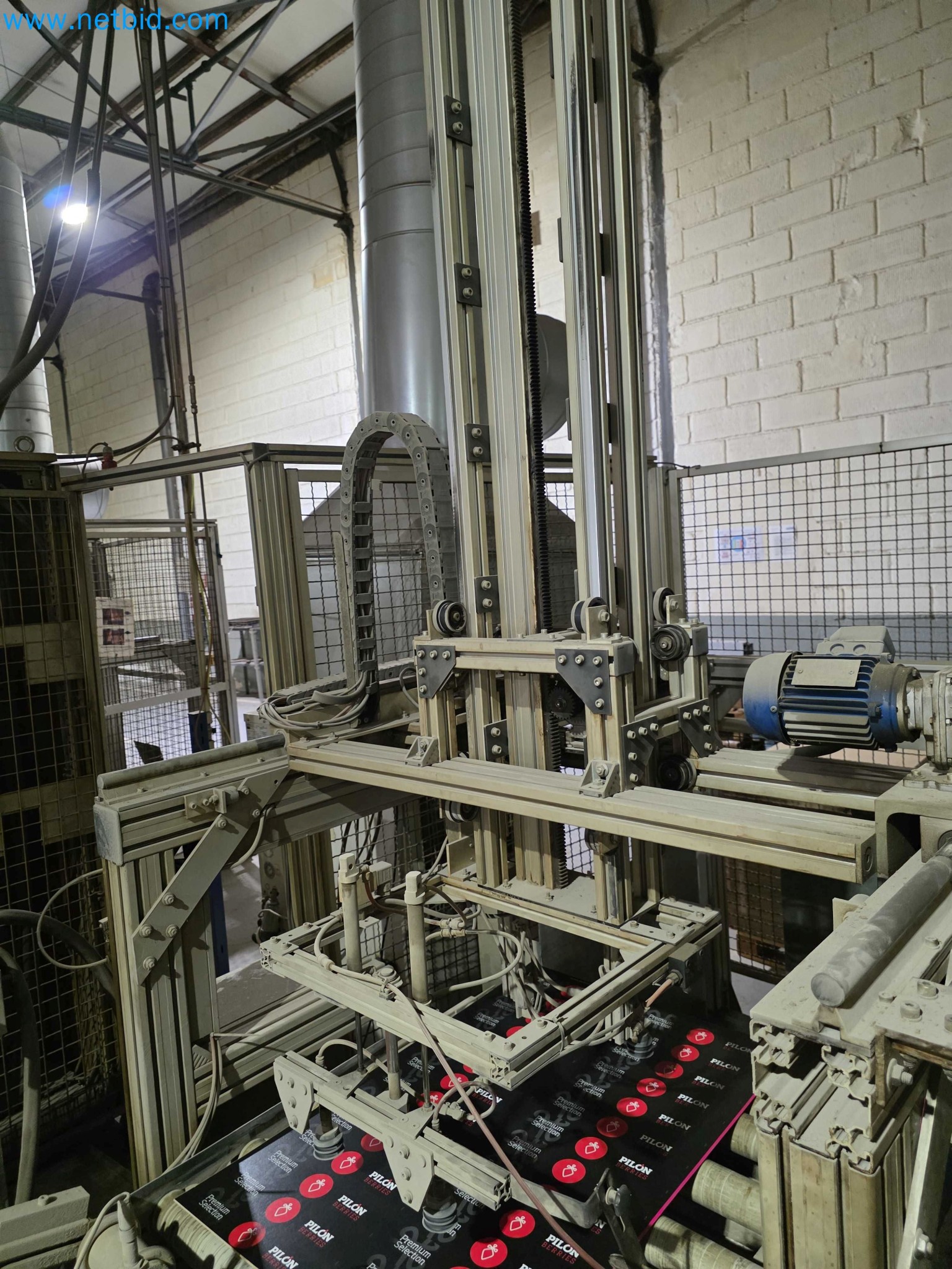 Liquidação de empresas - Máquinas de embalagem usadas para embalagem de frutas e legumes (linha de produção de MDF)-21