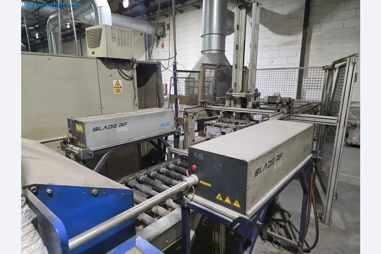 Liquidação de empresas - Máquinas de embalagem usadas para embalagem de frutas e legumes (linha de produção de MDF)-10