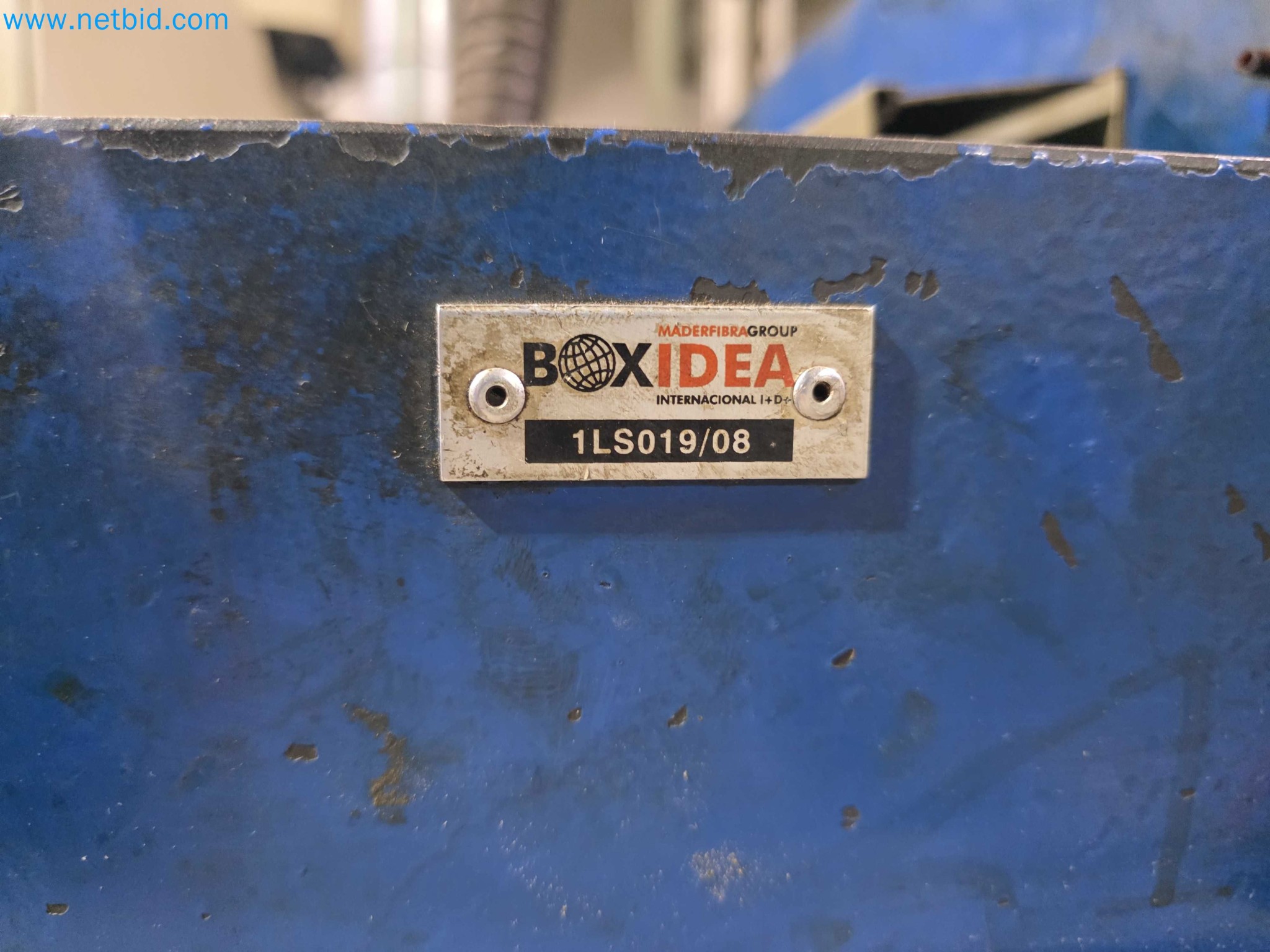 Liquidação de empresas - Máquinas de embalagem usadas para embalagem de frutas e legumes (linha de produção de MDF)-12