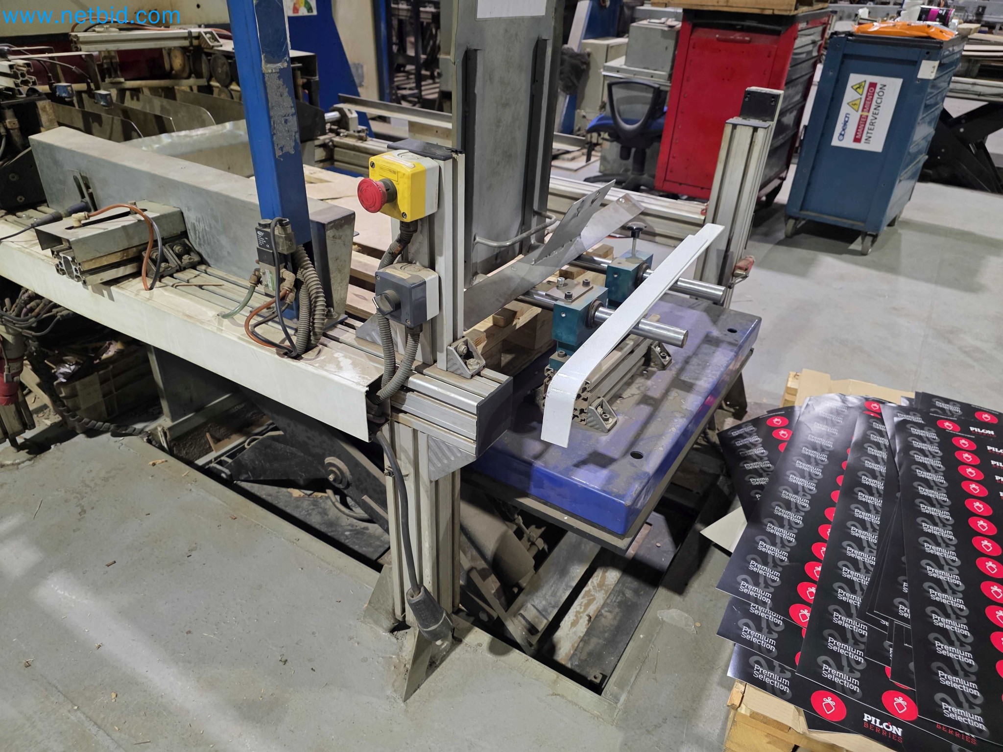 Liquidação de empresas - Máquinas de embalagem usadas para embalagem de frutas e legumes (linha de produção de MDF)-4