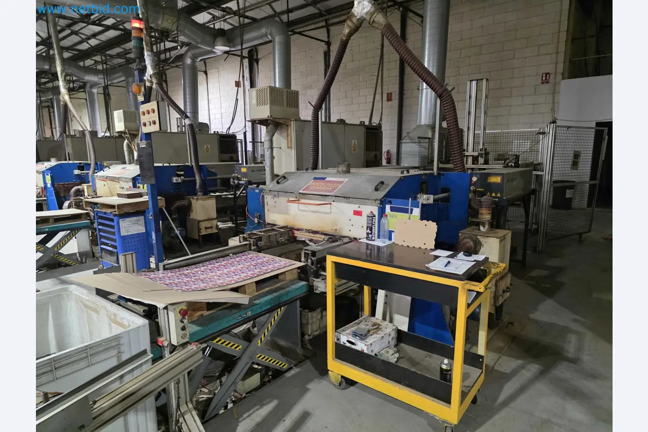 Liquidação de empresas - Máquinas de embalagem usadas para embalagem de frutas e legumes (linha de produção de MDF)-1