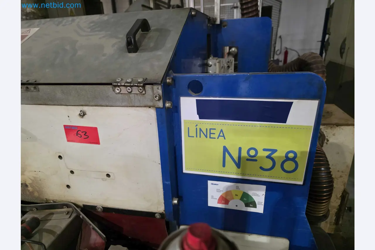 Liquidação de empresas - Máquinas de embalagem usadas para embalagem de frutas e legumes (linha de produção de MDF)-4