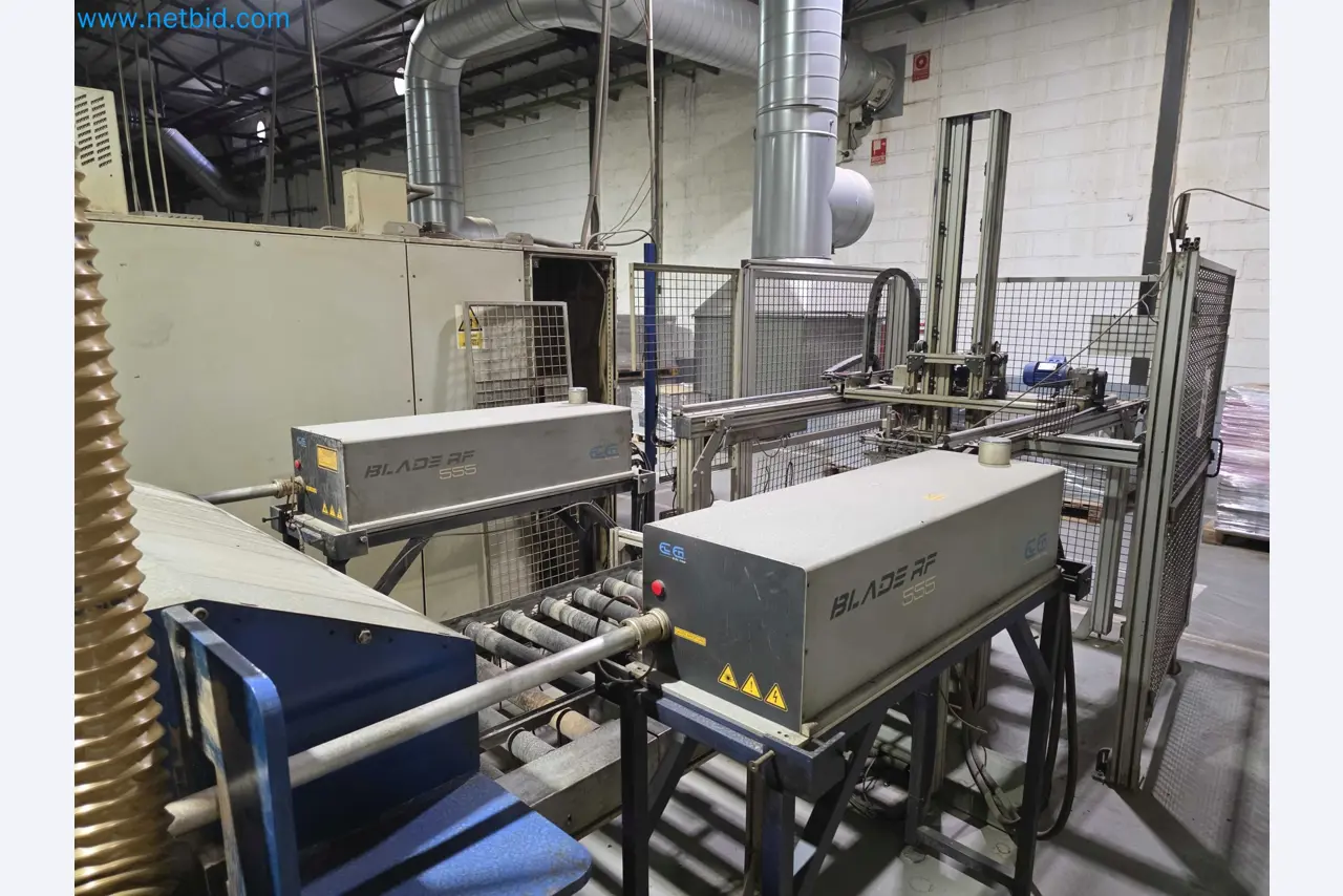 Liquidação de empresas - Máquinas de embalagem usadas para embalagem de frutas e legumes (linha de produção de MDF)-10