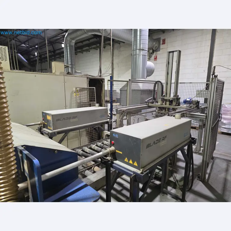 Liquidação de empresas - Máquinas de embalagem usadas para embalagem de frutas e legumes (linha de produção de MDF)-10