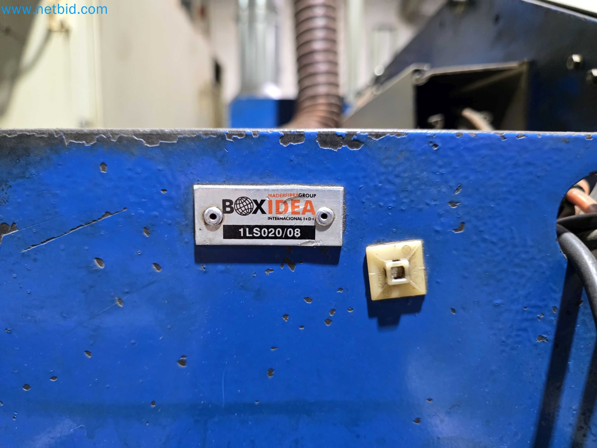 Liquidação de empresas - Máquinas de embalagem usadas para embalagem de frutas e legumes (linha de produção de MDF)-5