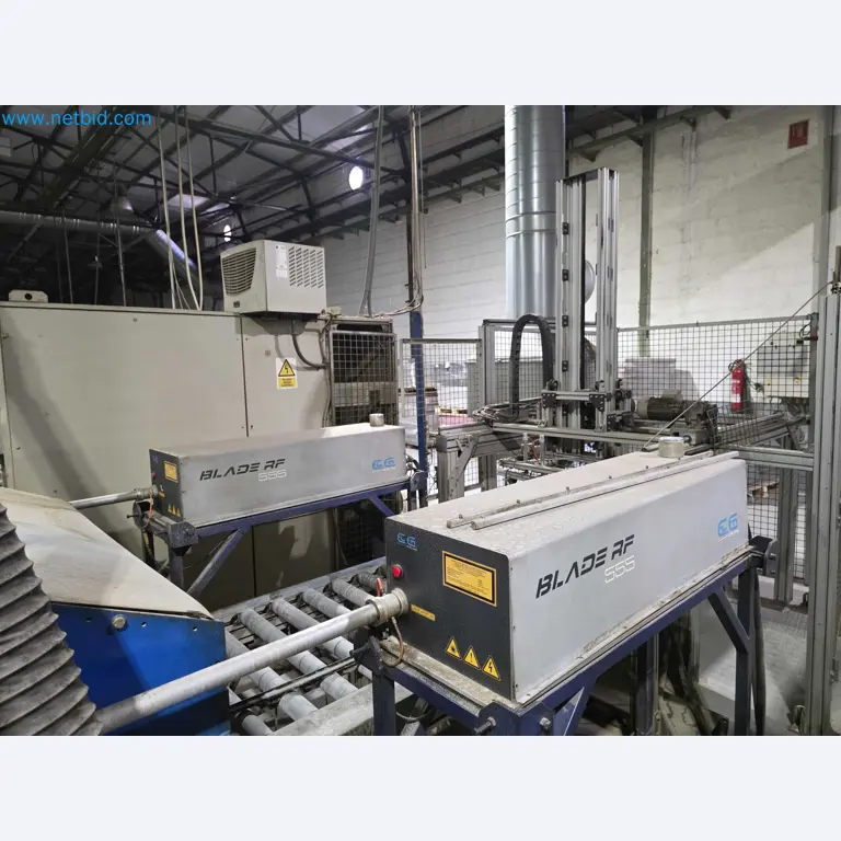 Liquidação de empresas - Máquinas de embalagem usadas para embalagem de frutas e legumes (linha de produção de MDF)-11