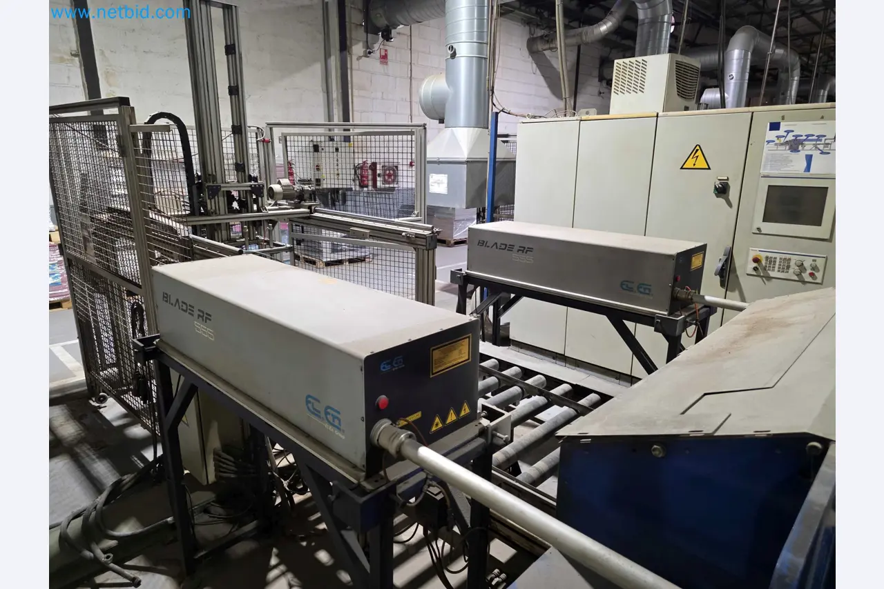 Betriebsauflösung – Gebrauchte Verpackungsmaschinen für Obst- und Gemüseverpackung (MDF Produktionslinie)-12