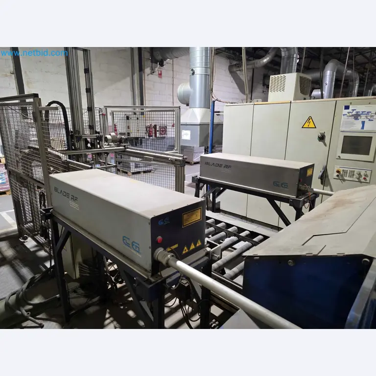 Betriebsauflösung – Gebrauchte Verpackungsmaschinen für Obst- und Gemüseverpackung (MDF Produktionslinie)-12