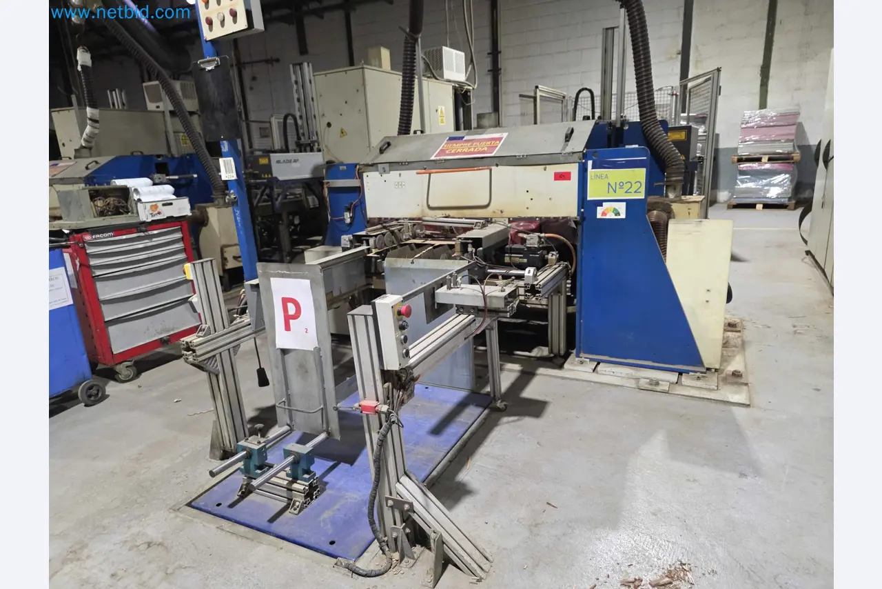 Betriebsauflösung – Gebrauchte Verpackungsmaschinen für Obst- und Gemüseverpackung (MDF Produktionslinie)-1