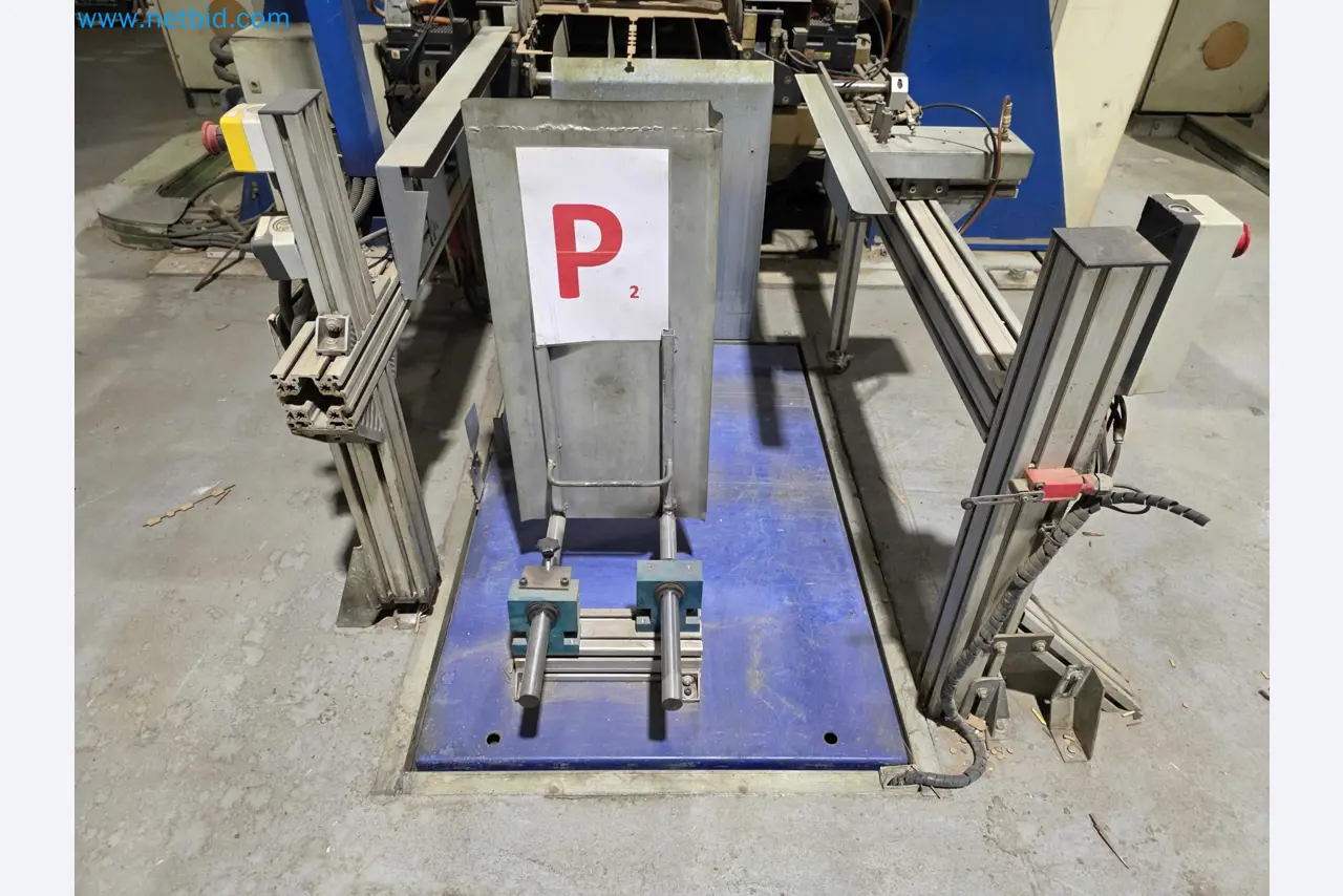 Betriebsauflösung – Gebrauchte Verpackungsmaschinen für Obst- und Gemüseverpackung (MDF Produktionslinie)-3