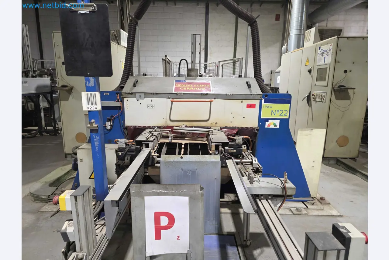 Betriebsauflösung – Gebrauchte Verpackungsmaschinen für Obst- und Gemüseverpackung (MDF Produktionslinie)-4