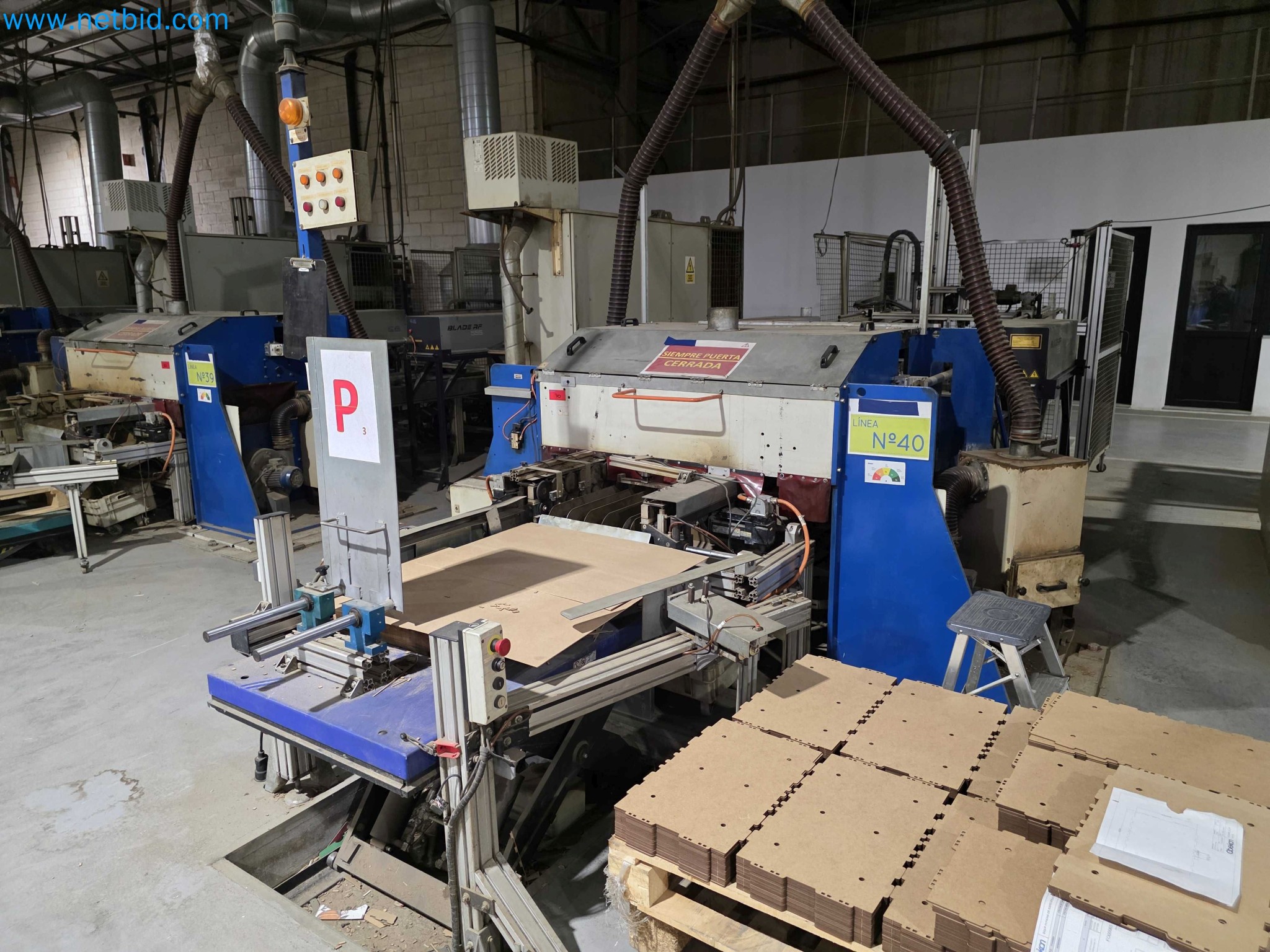 Likvidace podniku - Použité balicí stroje na balení ovoce a zeleniny (výrobní linka MDF)-1