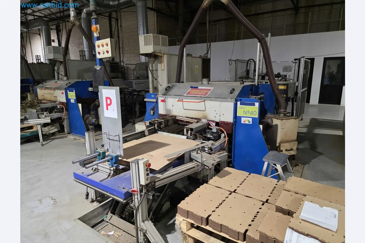 Vente aux enchères pour fermeture d’usine – Machines d’emballage d’occasion pour fruits et légumes (ligne de production MDF)-1