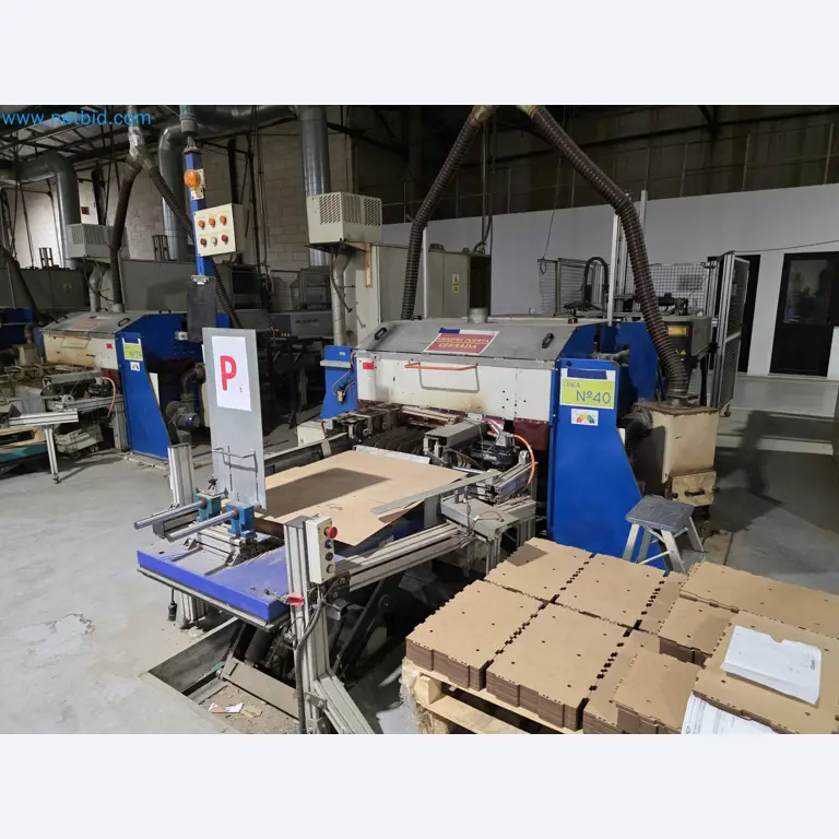 Vente aux enchères pour fermeture d’usine – Machines d’emballage d’occasion pour fruits et légumes (ligne de production MDF)-1