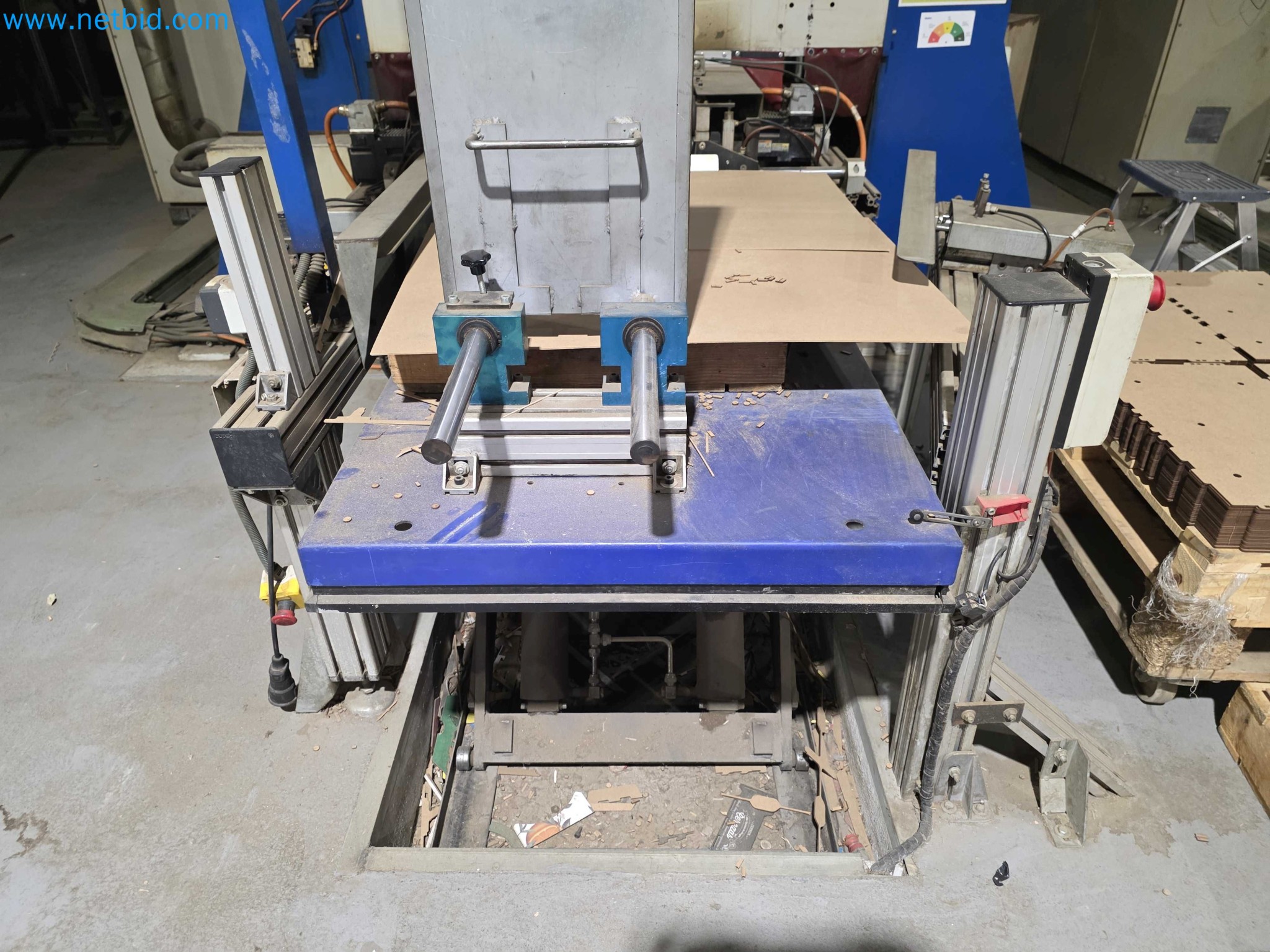 Likvidace podniku - Použité balicí stroje na balení ovoce a zeleniny (výrobní linka MDF)-4