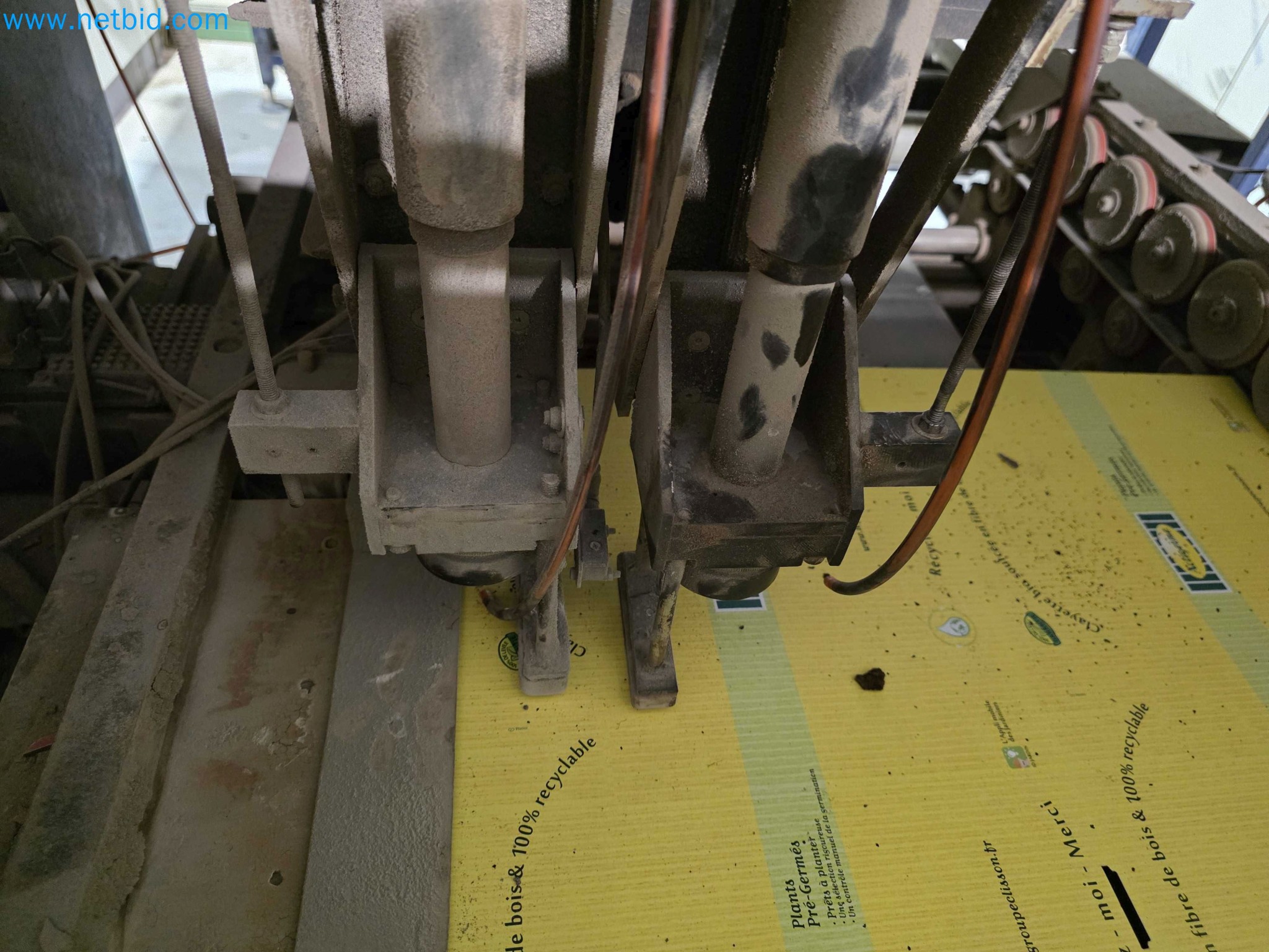 Likvidace podniku - Použité balicí stroje na balení ovoce a zeleniny (výrobní linka MDF)-9