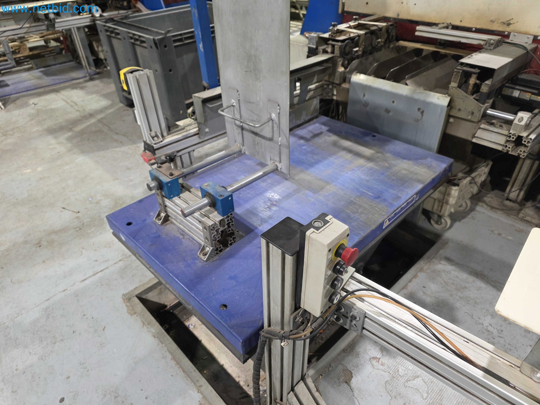 Likvidace podniku - Použité balicí stroje na balení ovoce a zeleniny (výrobní linka MDF)-4