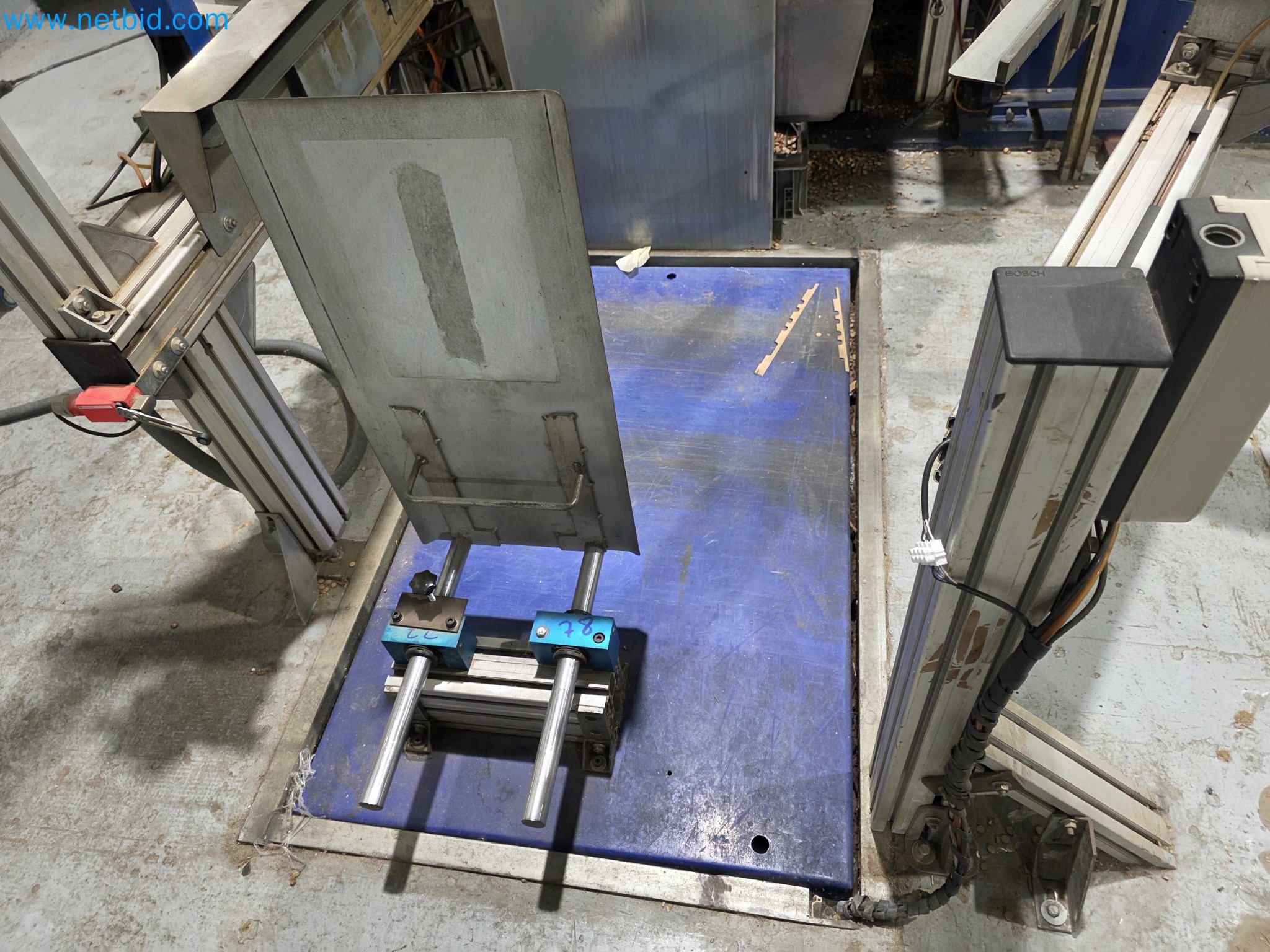 Likvidace podniku - Použité balicí stroje na balení ovoce a zeleniny (výrobní linka MDF)-4