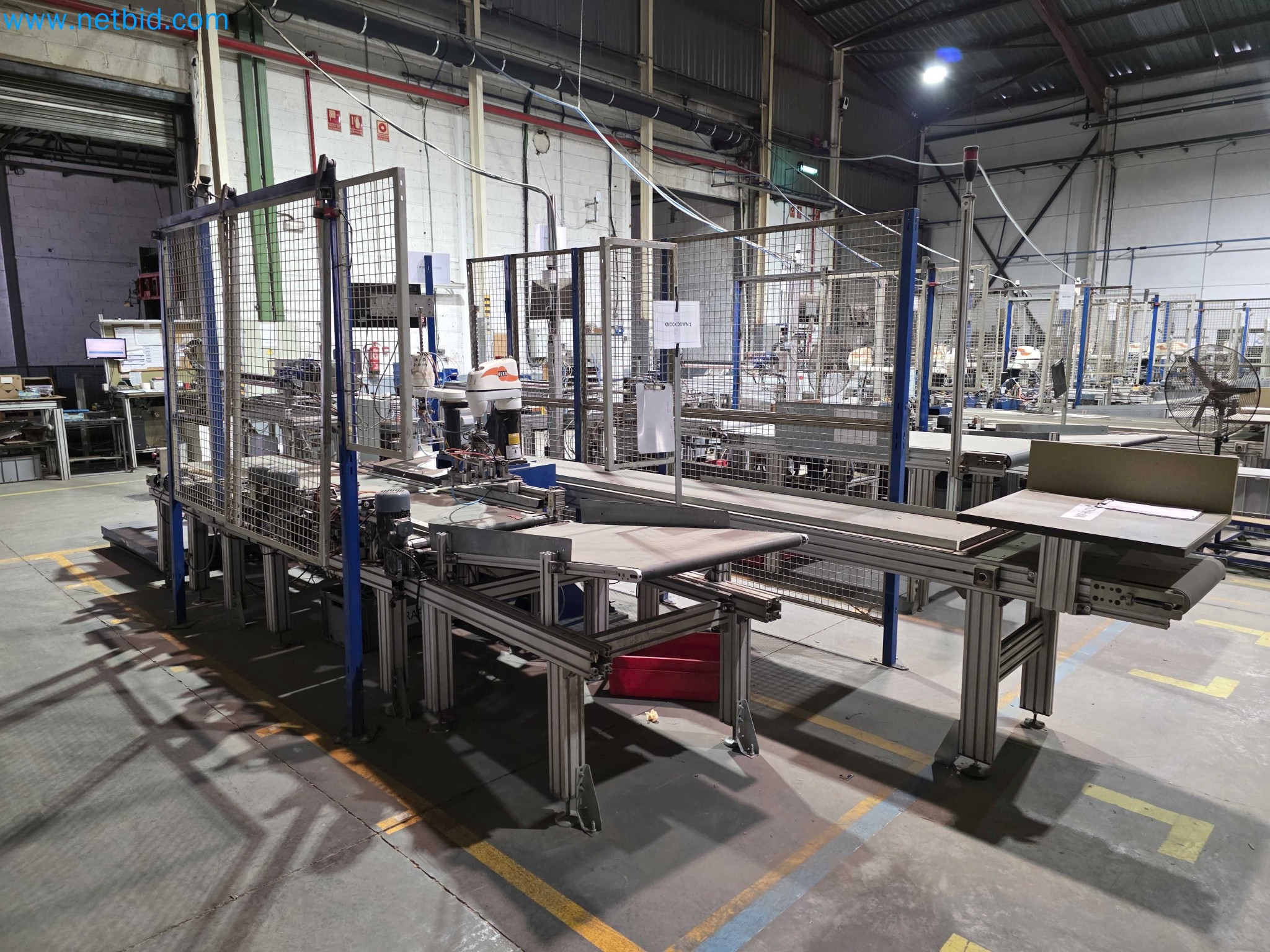 Likvidace podniku - Použité balicí stroje na balení ovoce a zeleniny (výrobní linka MDF)-3