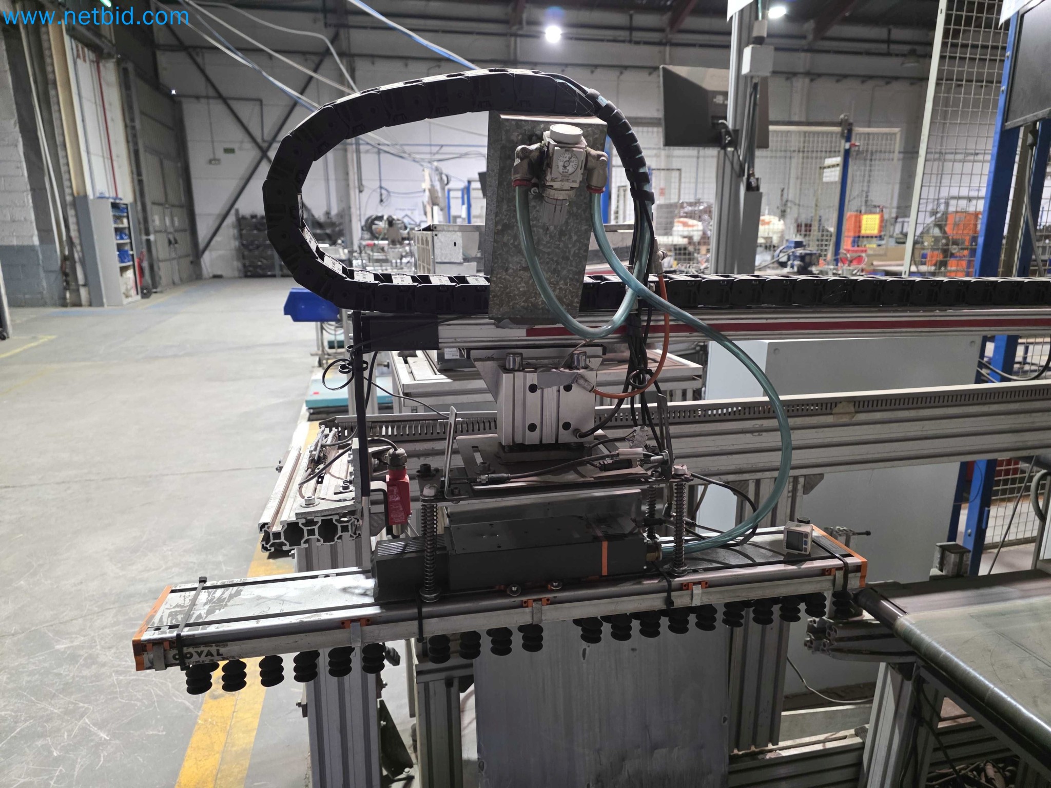 Likvidace podniku - Použité balicí stroje na balení ovoce a zeleniny (výrobní linka MDF)-7