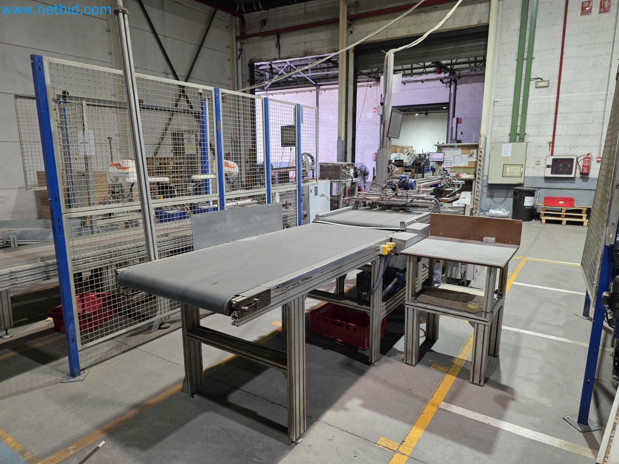 Likvidace podniku - Použité balicí stroje na balení ovoce a zeleniny (výrobní linka MDF)-4