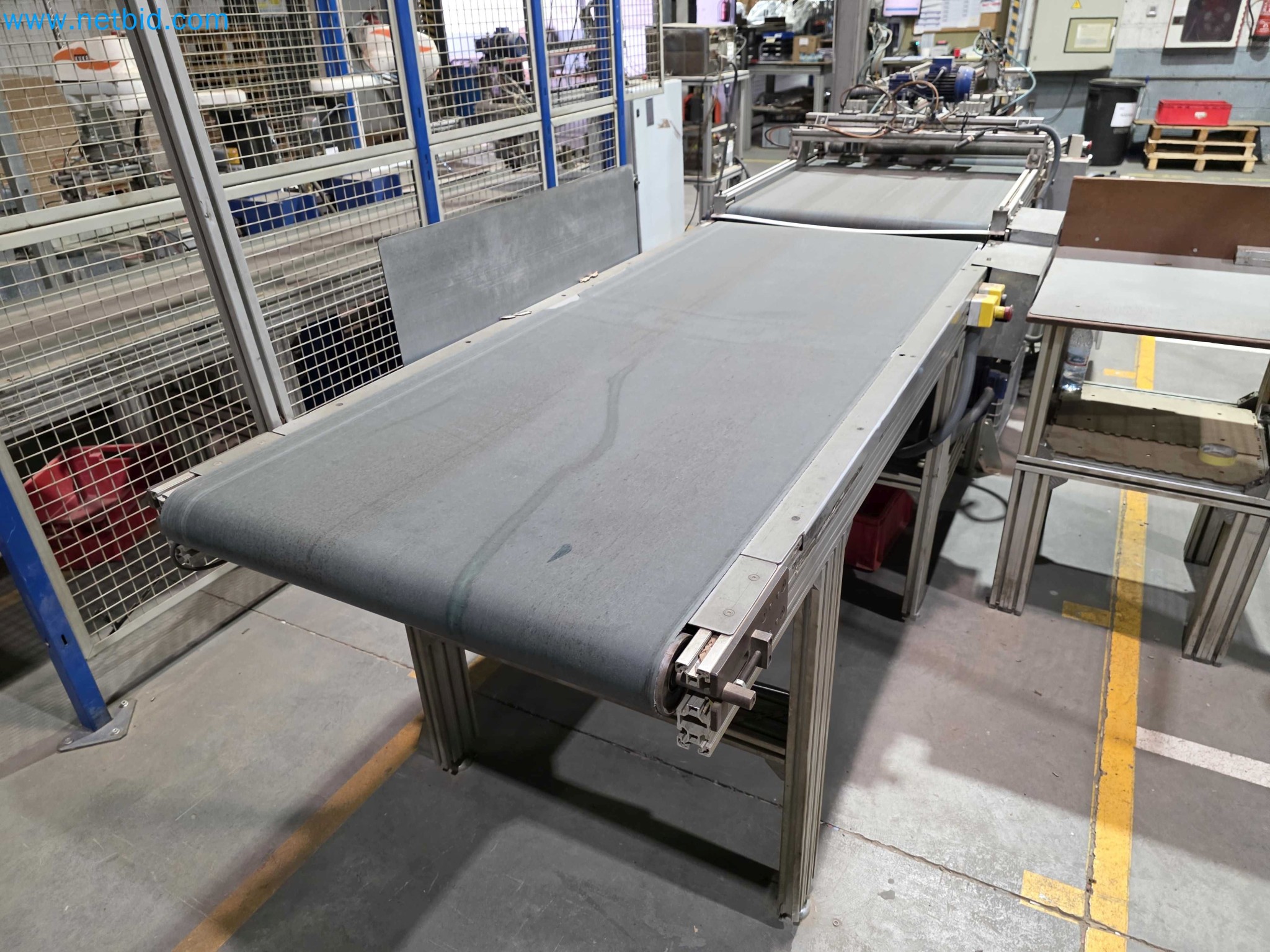 Likvidace podniku - Použité balicí stroje na balení ovoce a zeleniny (výrobní linka MDF)-5