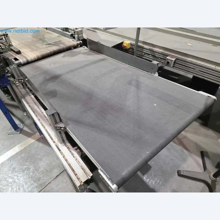 Likvidace podniku - Použité balicí stroje na balení ovoce a zeleniny (výrobní linka MDF)-13