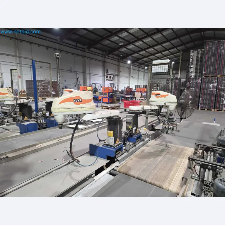 Likvidace podniku - Použité balicí stroje na balení ovoce a zeleniny (výrobní linka MDF)-9