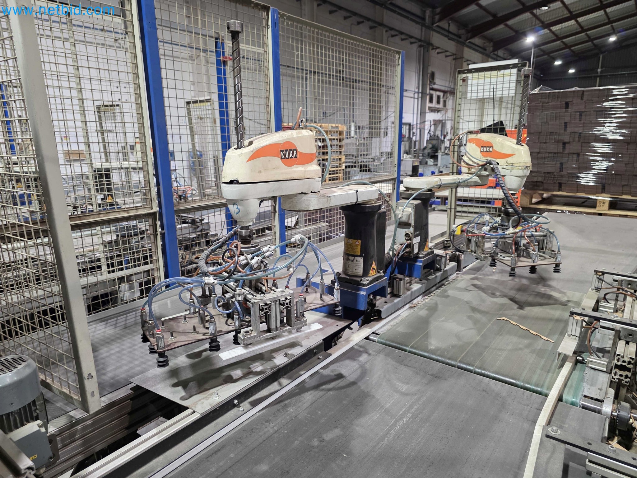 Likvidace podniku - Použité balicí stroje na balení ovoce a zeleniny (výrobní linka MDF)-10