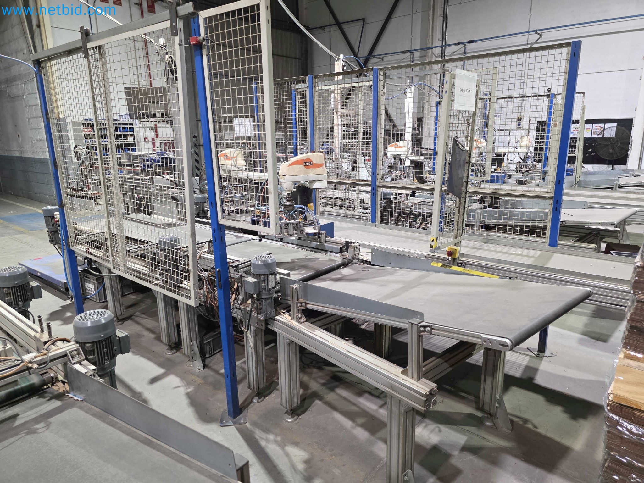 Likvidace podniku - Použité balicí stroje na balení ovoce a zeleniny (výrobní linka MDF)-4