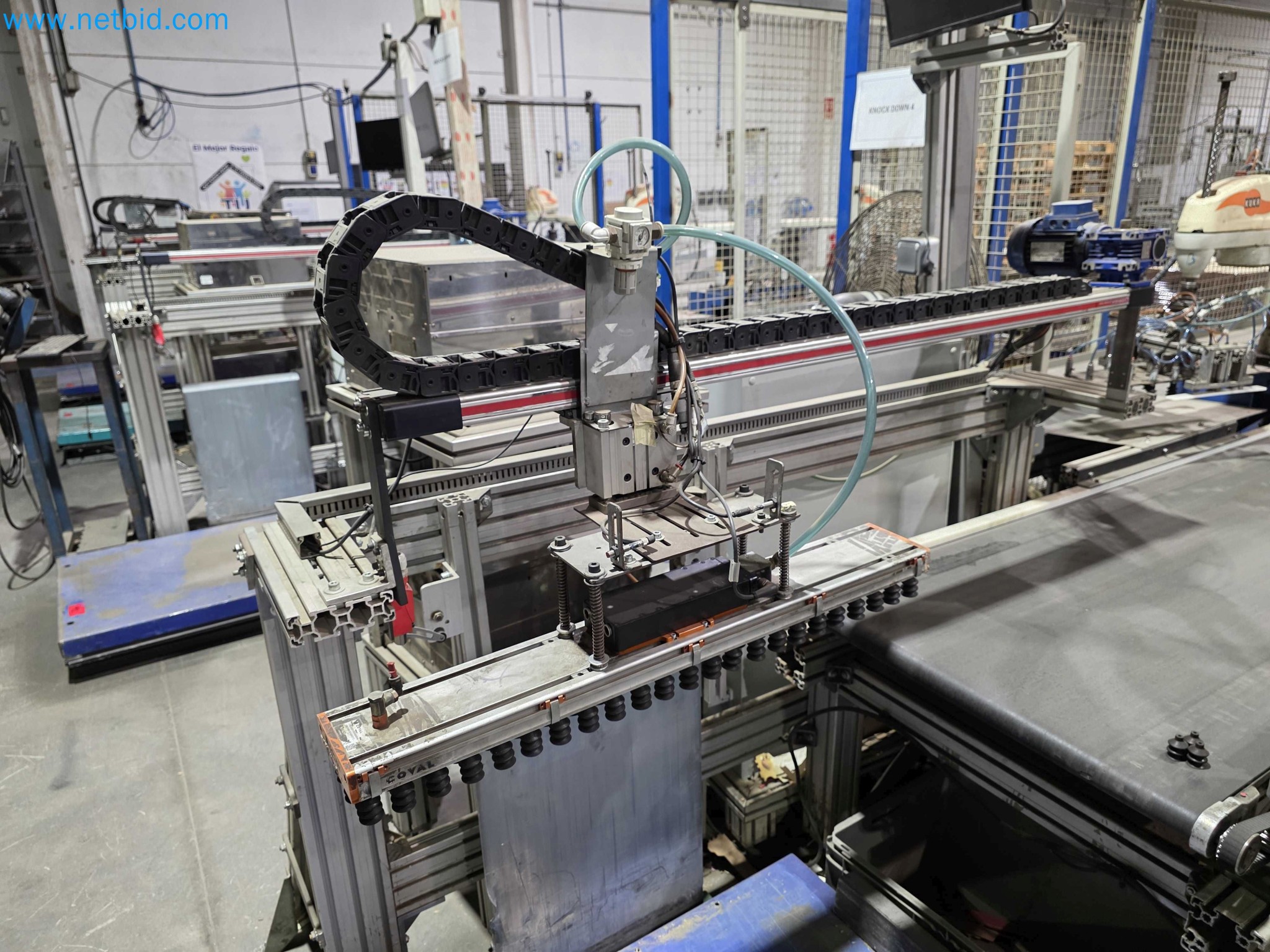 Likvidace podniku - Použité balicí stroje na balení ovoce a zeleniny (výrobní linka MDF)-8