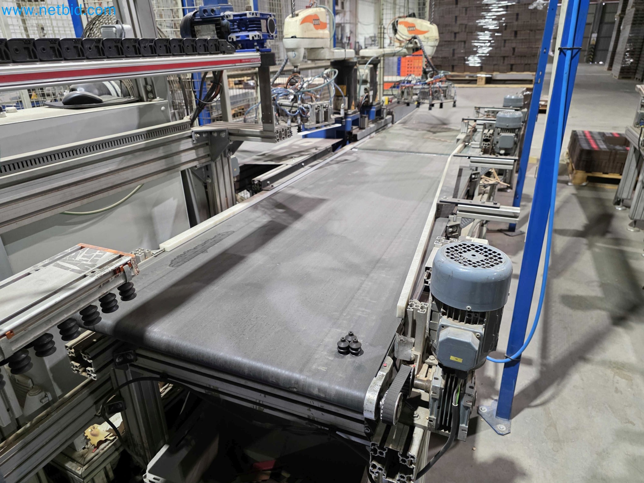 Likvidace podniku - Použité balicí stroje na balení ovoce a zeleniny (výrobní linka MDF)-9