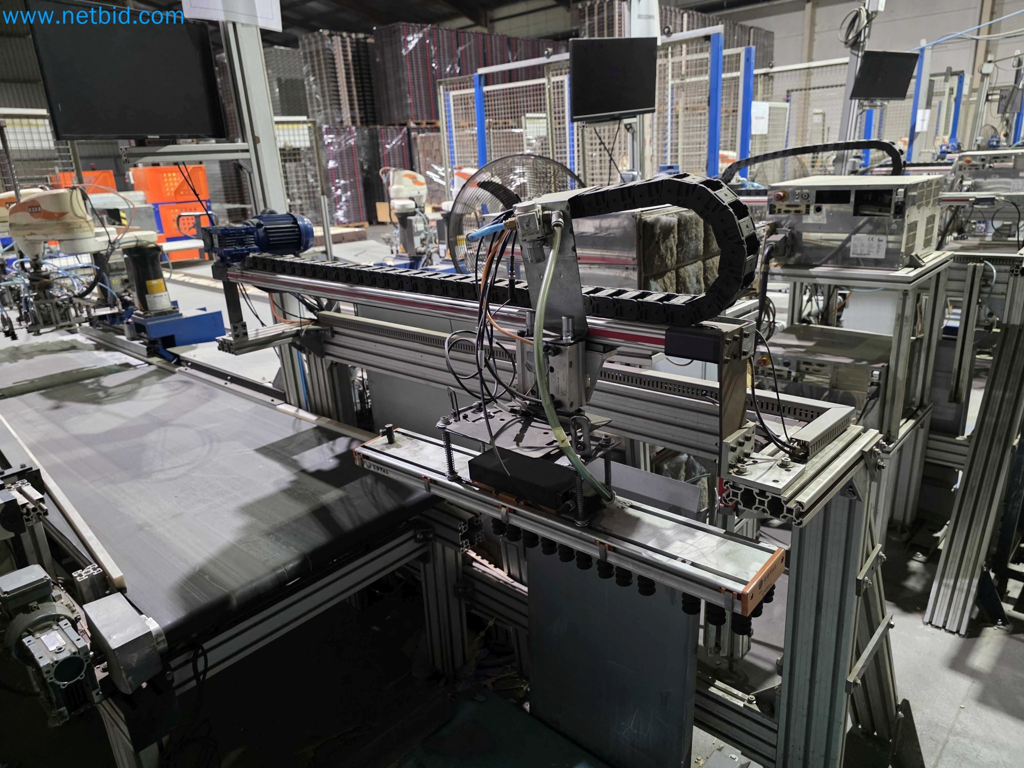 Likvidace podniku - Použité balicí stroje na balení ovoce a zeleniny (výrobní linka MDF)-10